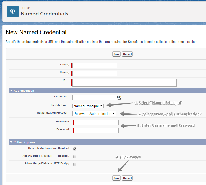 New Named Credential Screen